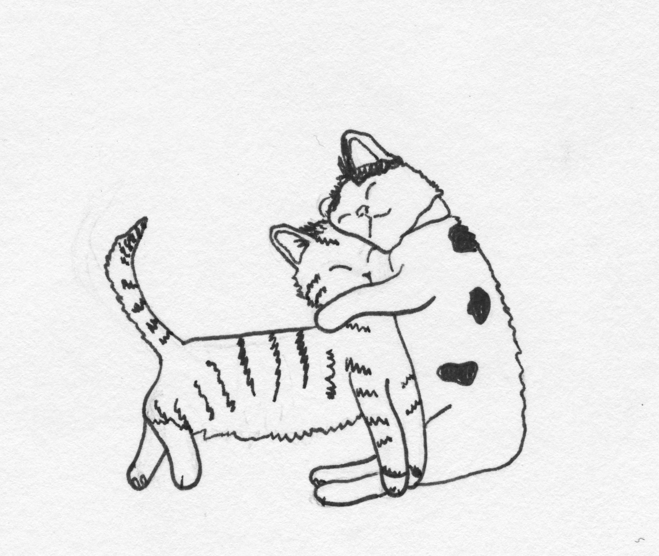 Cats drawing